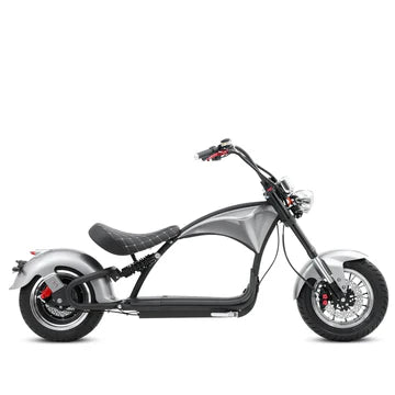 COBRA S LR (Half Day)